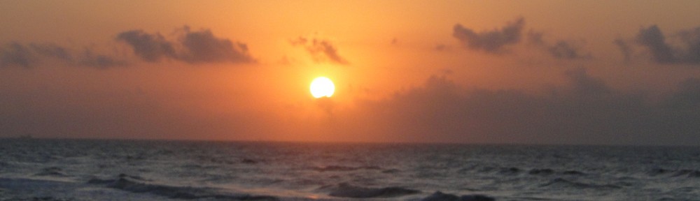 Life Lessons Grief Lessens